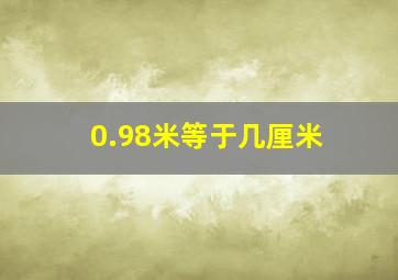 0.98米等于几厘米