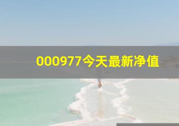 000977今天最新净值