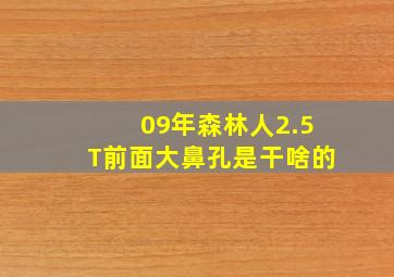 09年森林人2.5T前面大鼻孔是干啥的