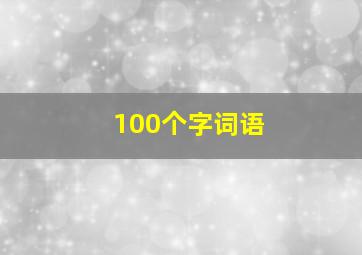 100个字词语