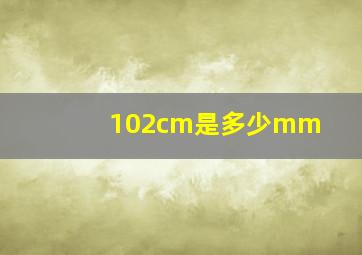 102cm是多少mm