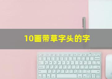 10画带草字头的字