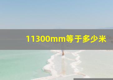 11300mm等于多少米