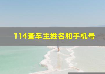 114查车主姓名和手机号