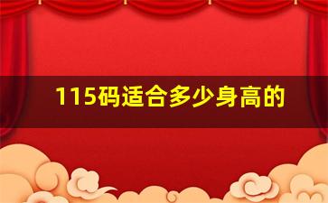 115码适合多少身高的