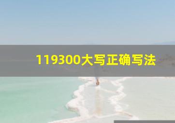 119300大写正确写法