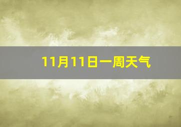 11月11日一周天气