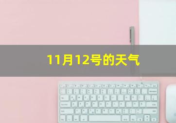 11月12号的天气