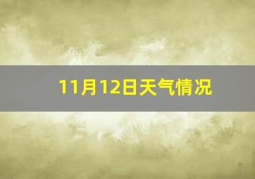 11月12日天气情况