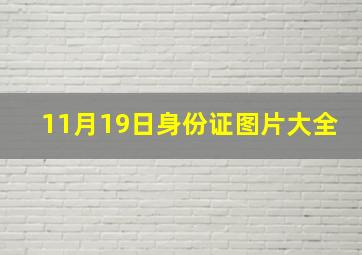 11月19日身份证图片大全