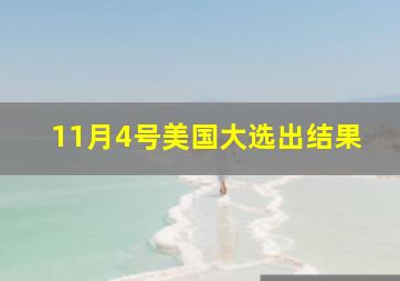 11月4号美国大选出结果