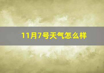 11月7号天气怎么样