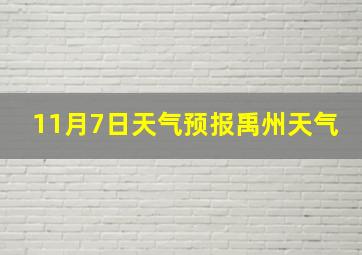 11月7日天气预报禹州天气