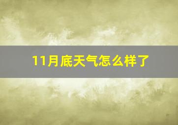 11月底天气怎么样了