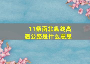 11条南北纵线高速公路是什么意思