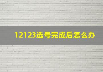 12123选号完成后怎么办