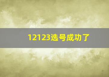 12123选号成功了