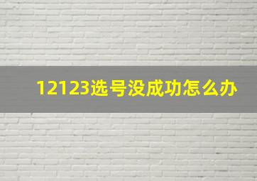 12123选号没成功怎么办