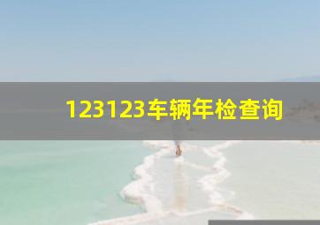 123123车辆年检查询