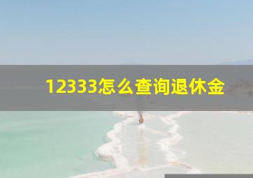 12333怎么查询退休金