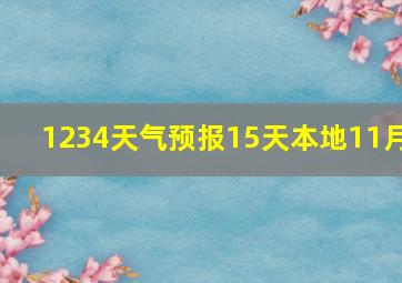 1234天气预报15天本地11月