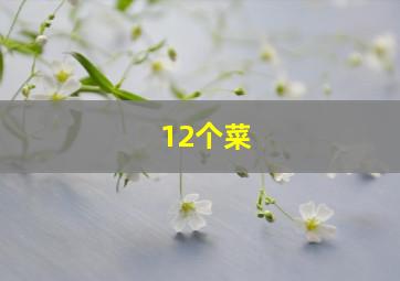 12个菜