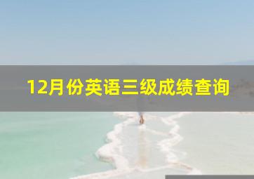 12月份英语三级成绩查询