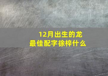 12月出生的龙最佳配字徐梓什么