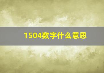 1504数字什么意思