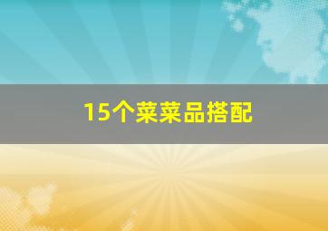 15个菜菜品搭配