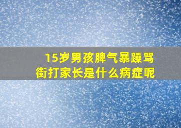 15岁男孩脾气暴躁骂街打家长是什么病症呢