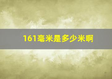 161毫米是多少米啊