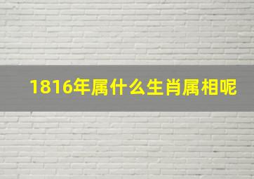 1816年属什么生肖属相呢