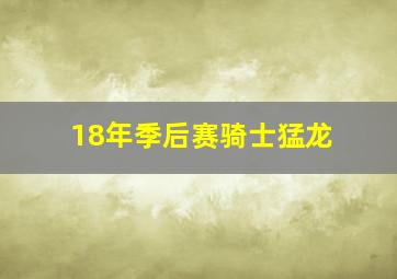 18年季后赛骑士猛龙