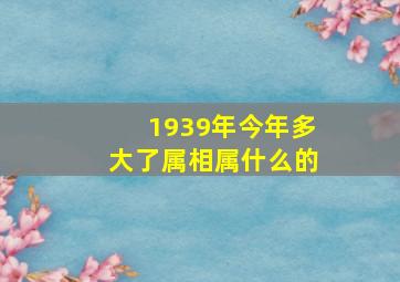 1939年今年多大了属相属什么的