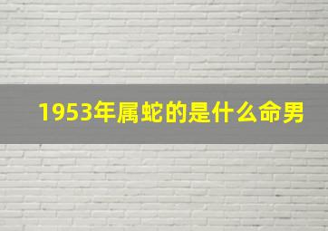 1953年属蛇的是什么命男