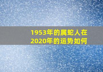 1953年的属蛇人在2020年的运势如何