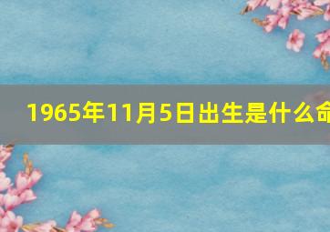 1965年11月5日出生是什么命