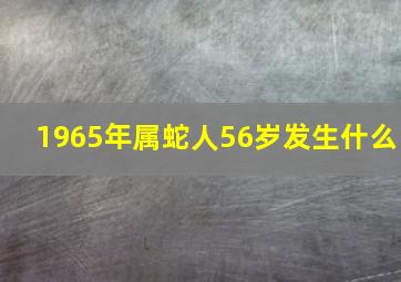 1965年属蛇人56岁发生什么