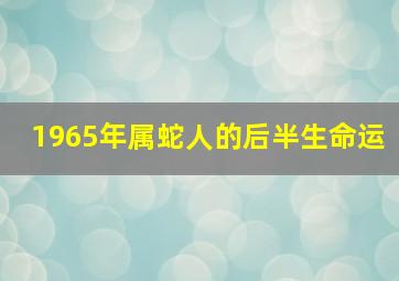 1965年属蛇人的后半生命运