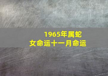 1965年属蛇女命运十一月命运