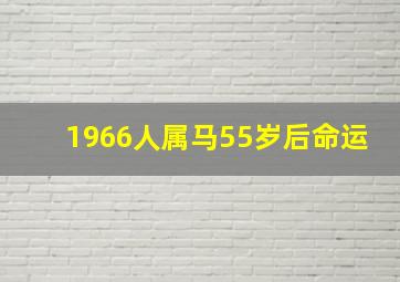 1966人属马55岁后命运