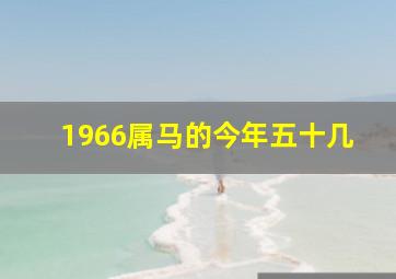 1966属马的今年五十几