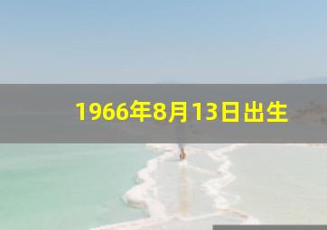 1966年8月13日出生