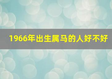 1966年出生属马的人好不好