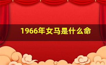 1966年女马是什么命