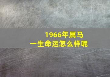 1966年属马一生命运怎么样呢