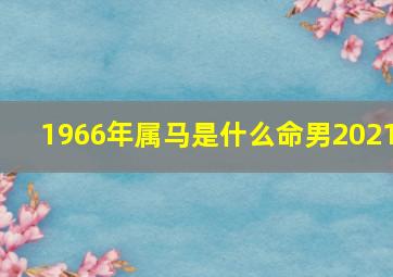 1966年属马是什么命男2021