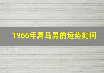 1966年属马男的运势如何