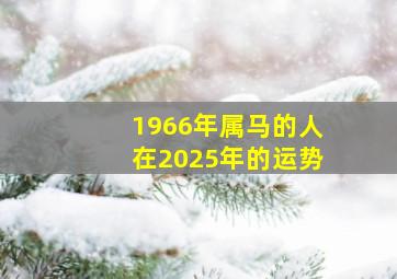 1966年属马的人在2025年的运势